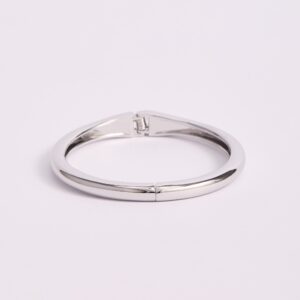 Anillo Plateado Modelo 1
